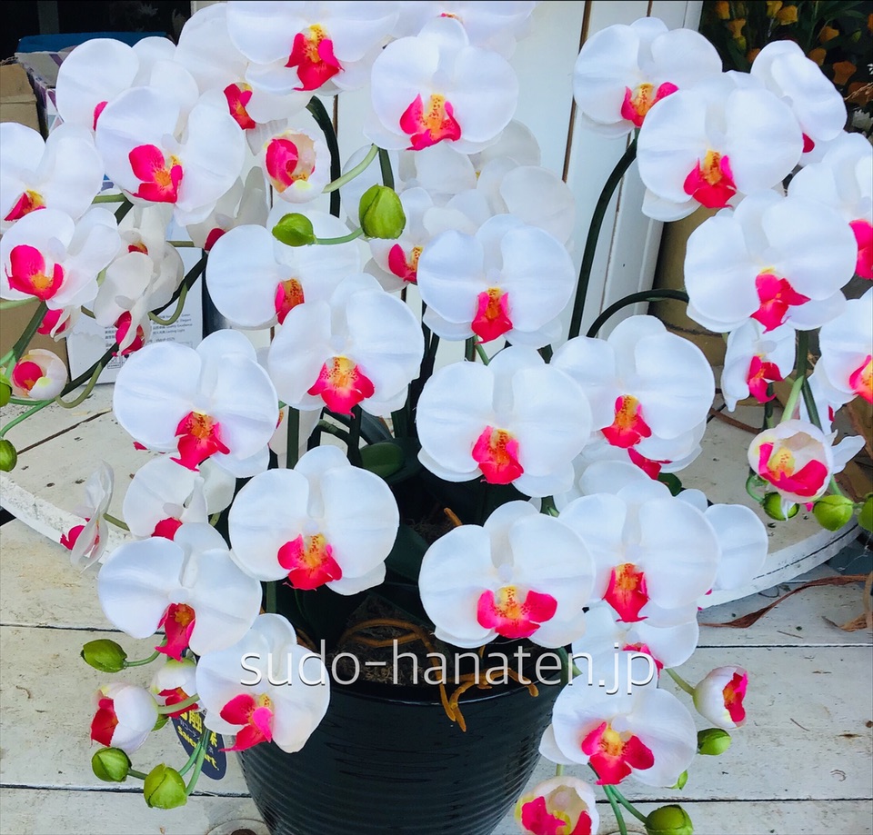 【造花】ミディ胡蝶蘭5本立ち(※光触媒の加工済)