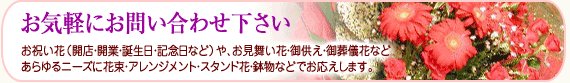 お気軽にお問い合わせ下さい　お祝い花（開店・開業・誕生日・記念日など）や、お見舞い花・御供え・御葬式花など、あらゆるニーズに花束・アレンジメント・スタンド花・鉢物などでお応えします。