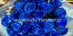 ロイヤルブルーの深い色味、青い薔薇の花束