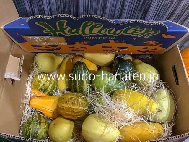 ハロウィンカボチャ