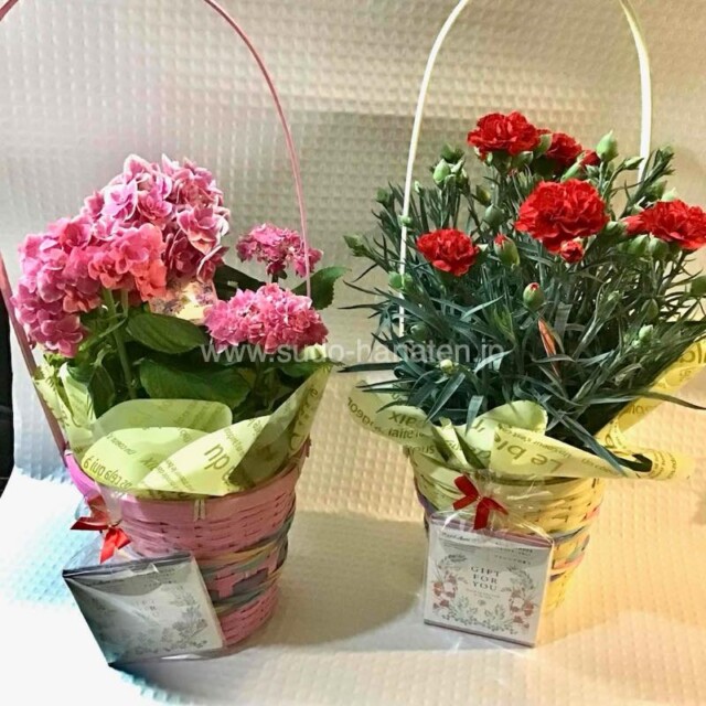 限定入荷の入浴剤プレゼント