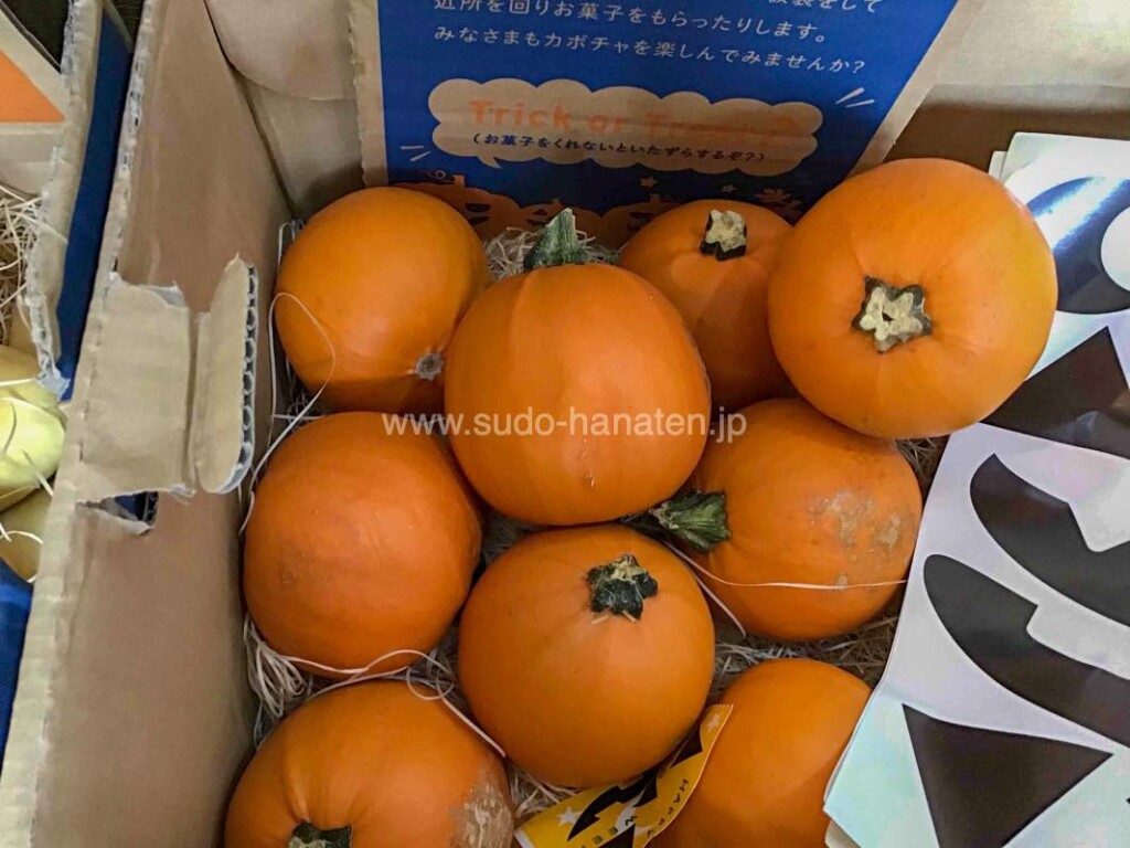 ハロウィン