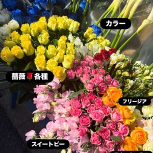 フリージアスイートピー