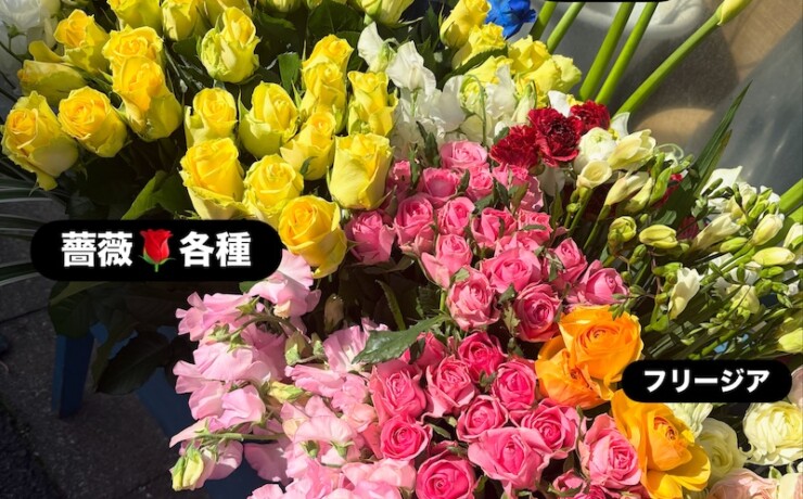 フリージアスイートピー