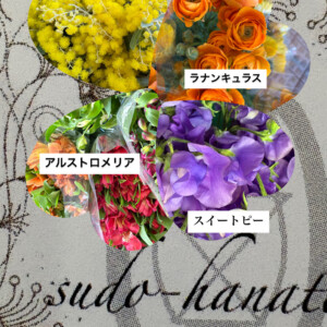 色とりどりの春花が店頭を彩っています