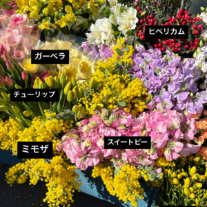 寒い今だからこそ、春のお花が長く楽しめます