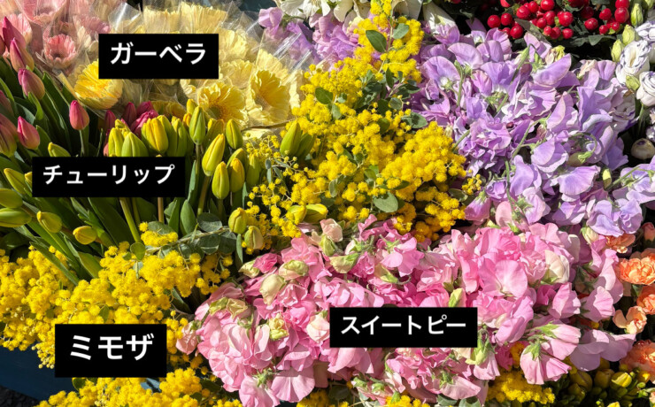 寒い今だからこそ、春のお花が長く楽しめます