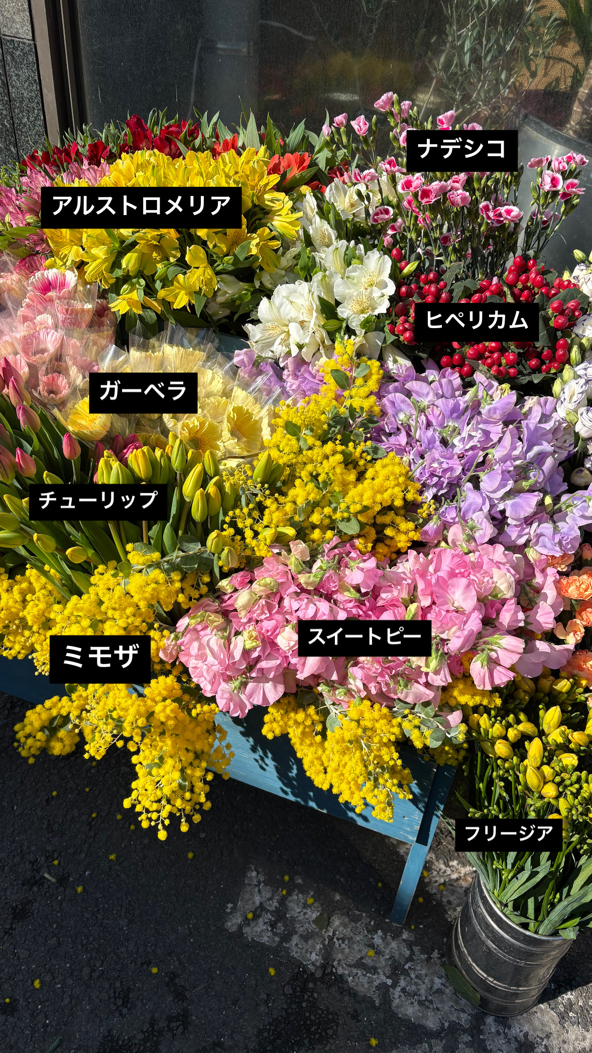 寒い今だからこそ、春のお花が長く楽しめます
