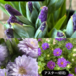 端午の節句に飾る花菖蒲