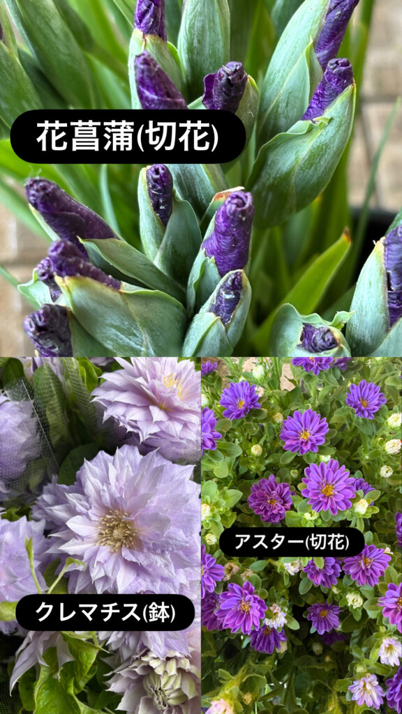 端午の節句に飾る花菖蒲