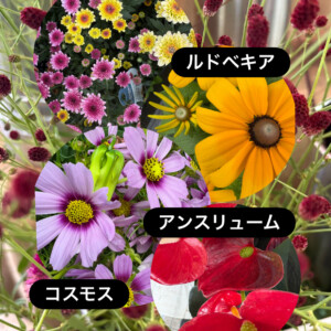 秋の気配を運ぶワレモコウとコスモス。店頭に並び始めました。
